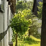Historic On 17,000 M2 Natural Grounds