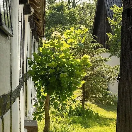 Historic On 17,000 M2 Natural Grounds *