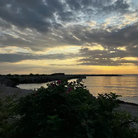 Historic On 17,000 M2 Natural Grounds Hasle