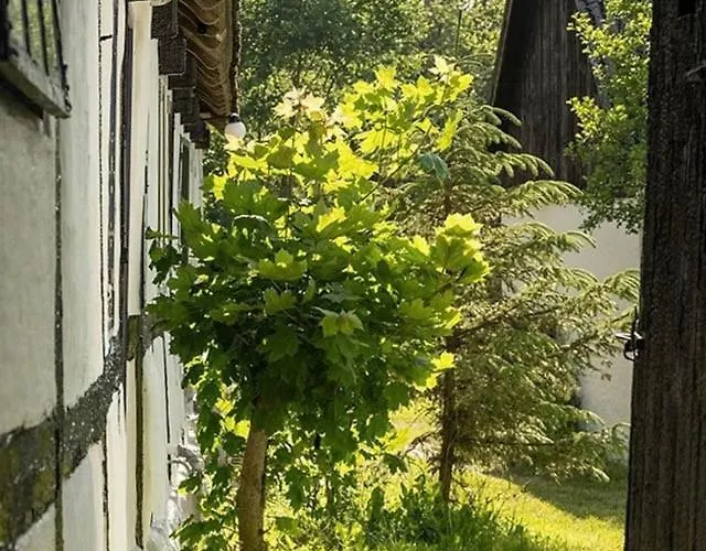 Historic On 17,000 M2 Natural Grounds